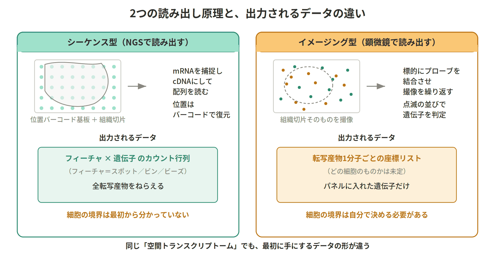 図：2つの読み出し原理と、出力されるデータの違い