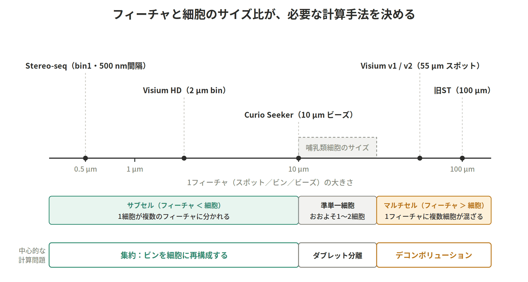 図：フィーチャと細胞のサイズ比が、必要な計算手法を決める