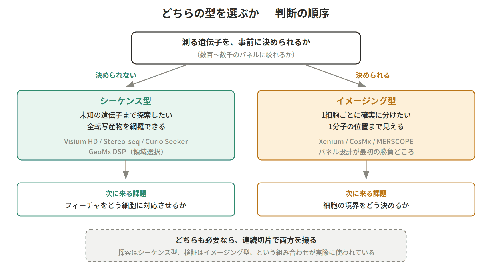 図：どちらの型を選ぶか ─ 判断の順序