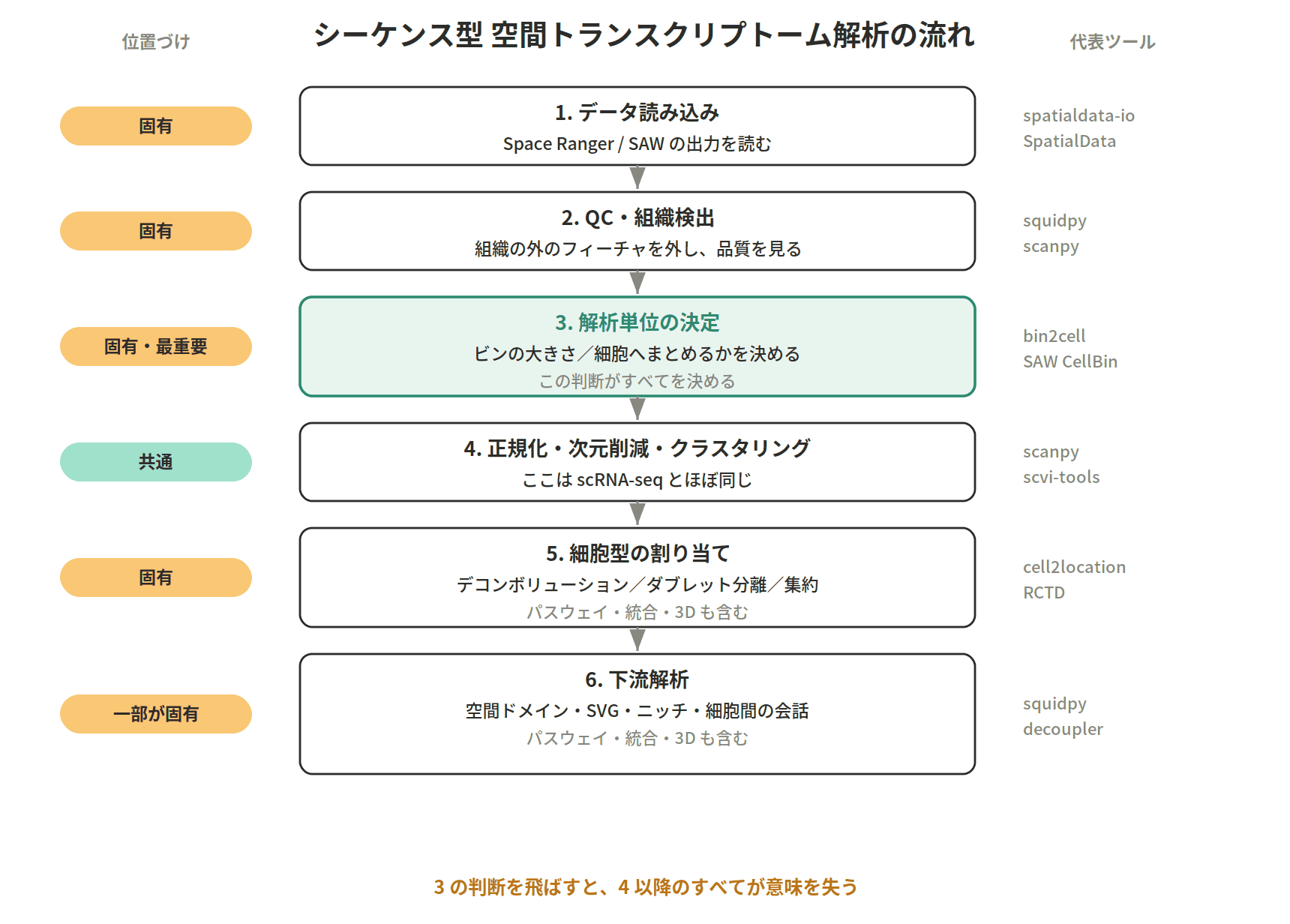 図：シーケンス型 空間トランスクリプトーム解析の流れ