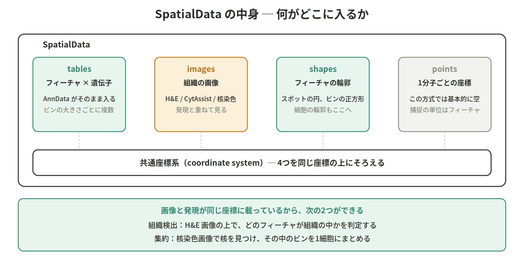図：SpatialData の中身 ─ 何がどこに入るか