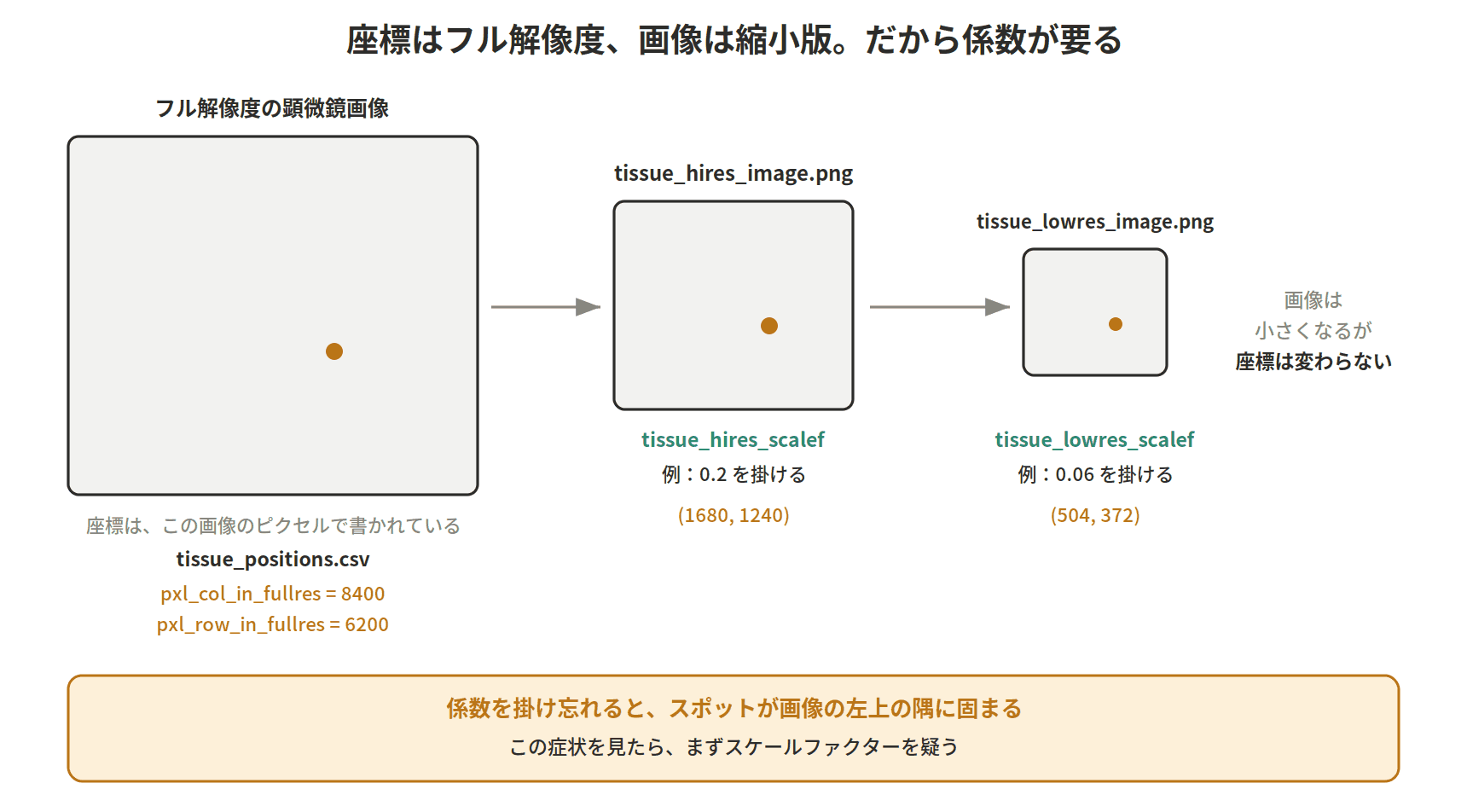 図：座標はフル解像度、画像は縮小版。だから係数が要る