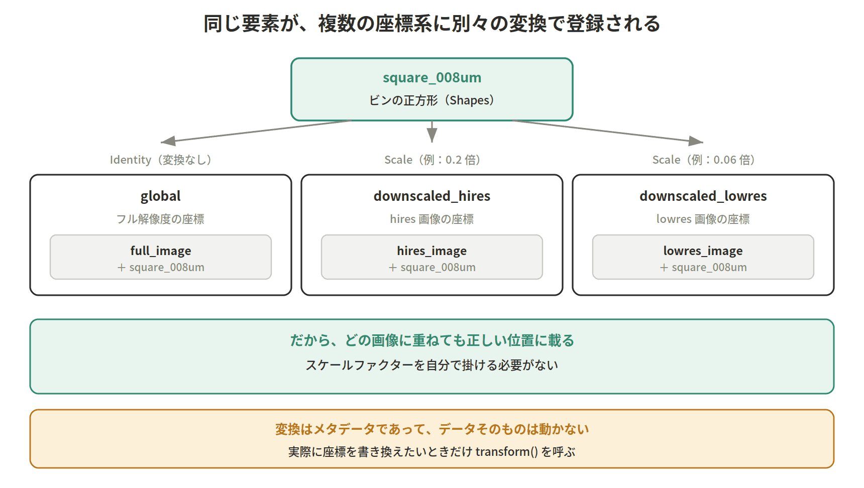 図：同じ要素が、複数の座標系に別々の変換で登録される