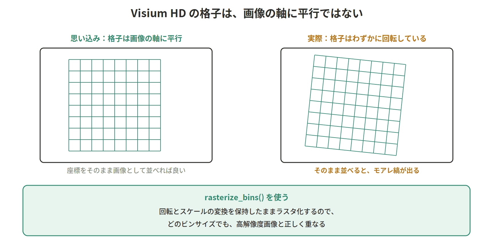 図：Visium HD の格子は、画像の軸に平行ではない