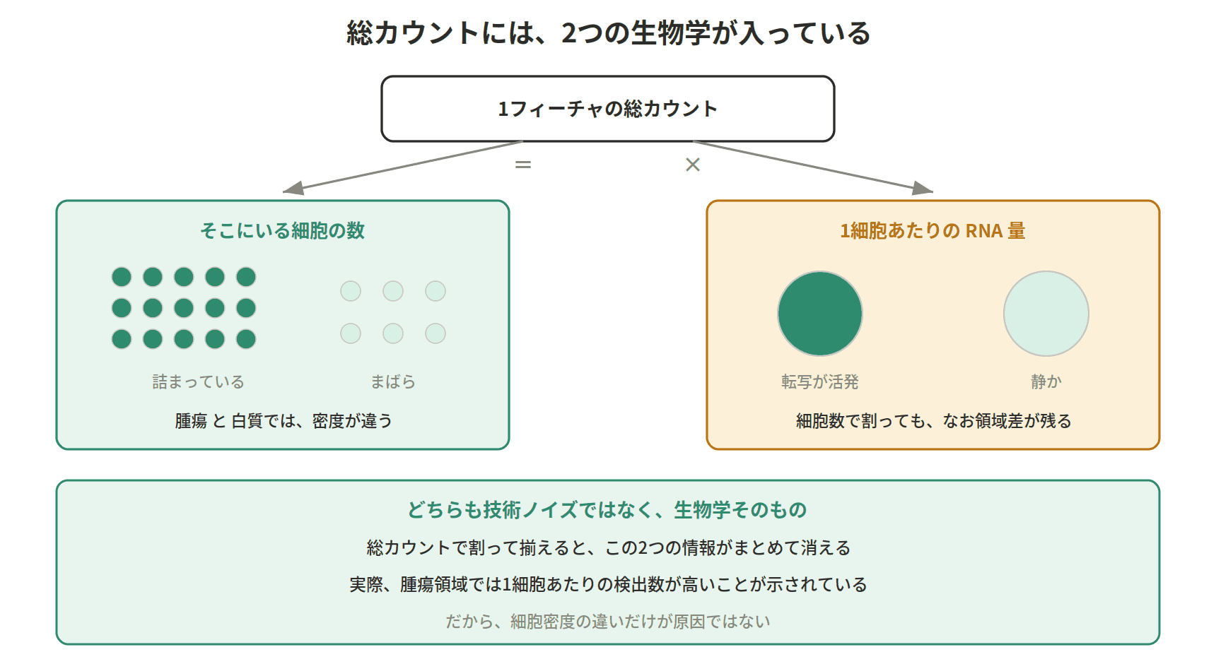 図：総カウントには、2つの生物学が入っている