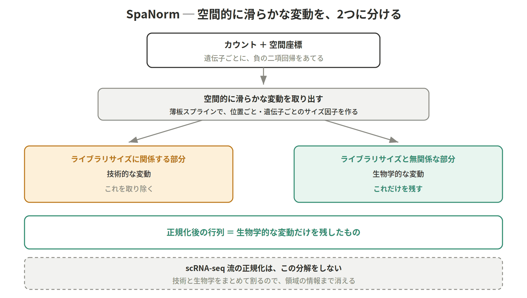 図：SpaNorm ─ 空間的に滑らかな変動を、2つに分ける