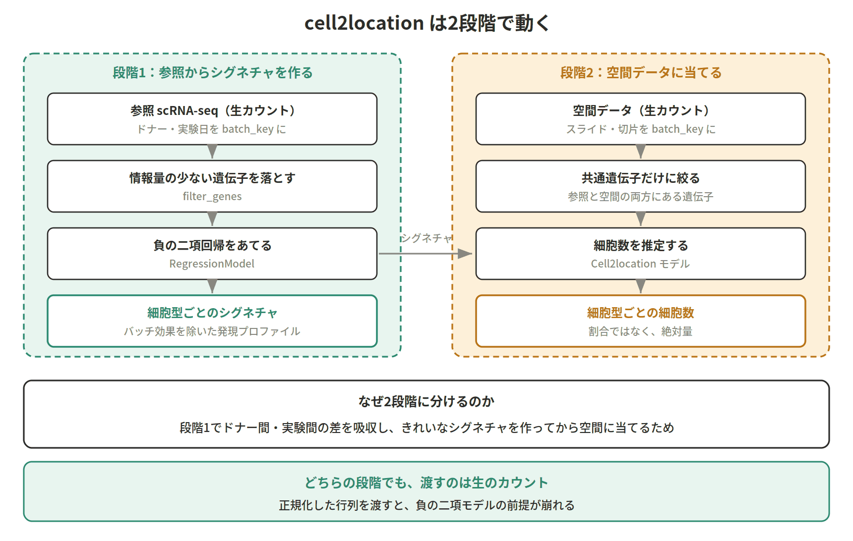 図：cell2location は2段階で動く