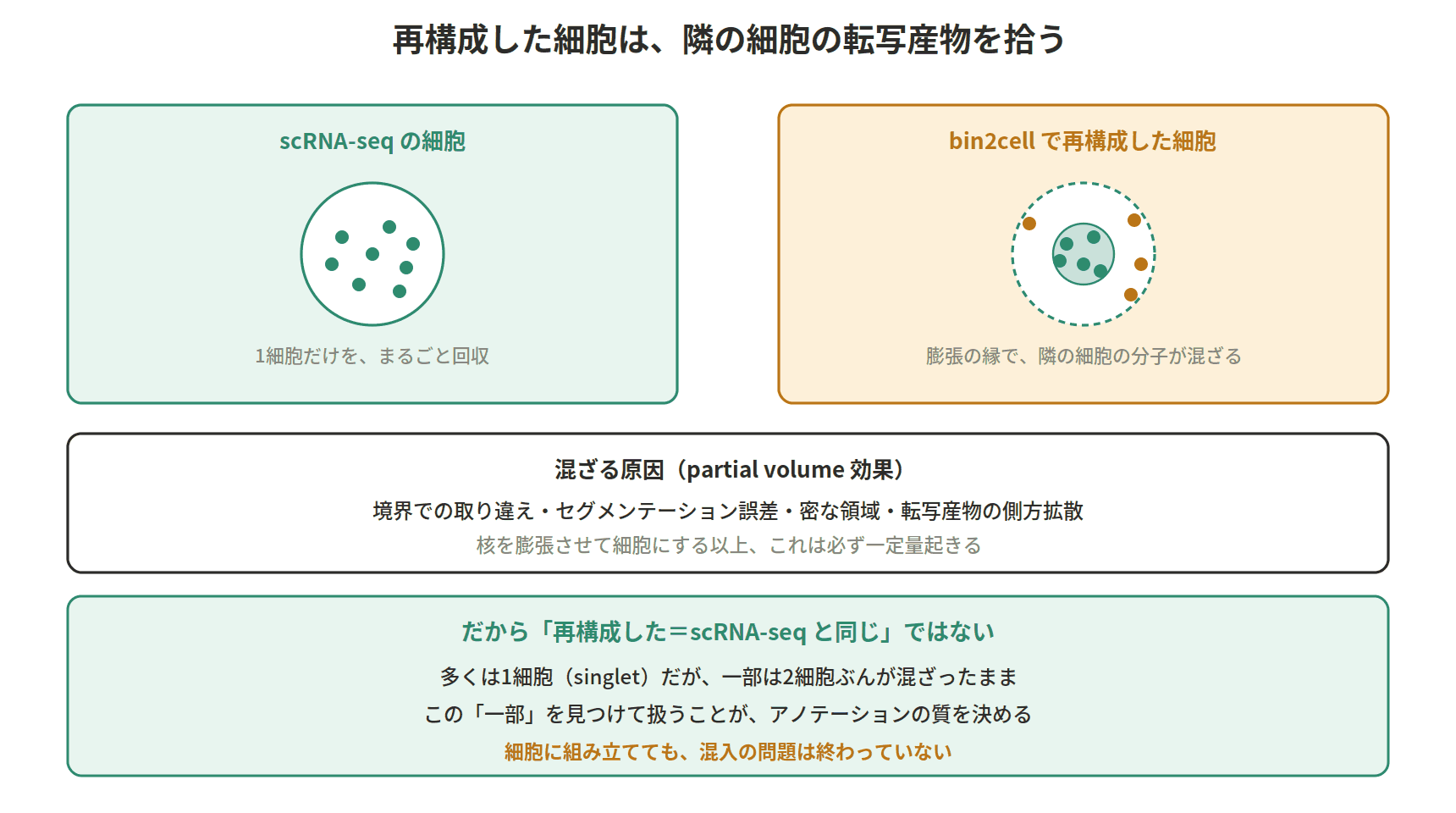 図：再構成した細胞は、隣の細胞の転写産物を拾う