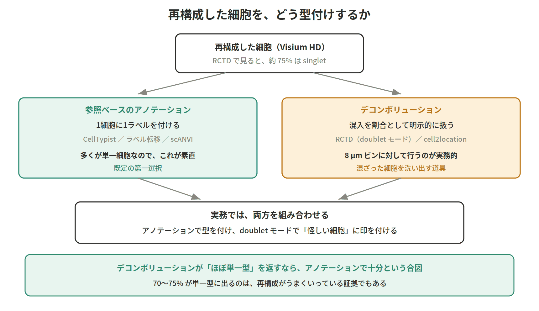 図：再構成した細胞を、どう型付けするか