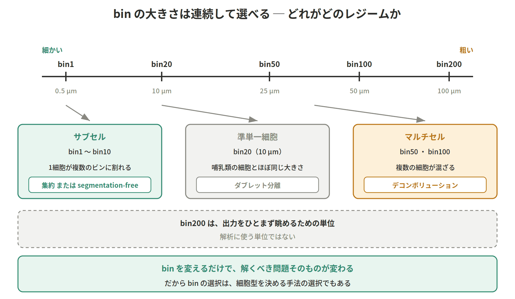 図：bin の大きさは連続して選べる ─ どれがどのレジームか