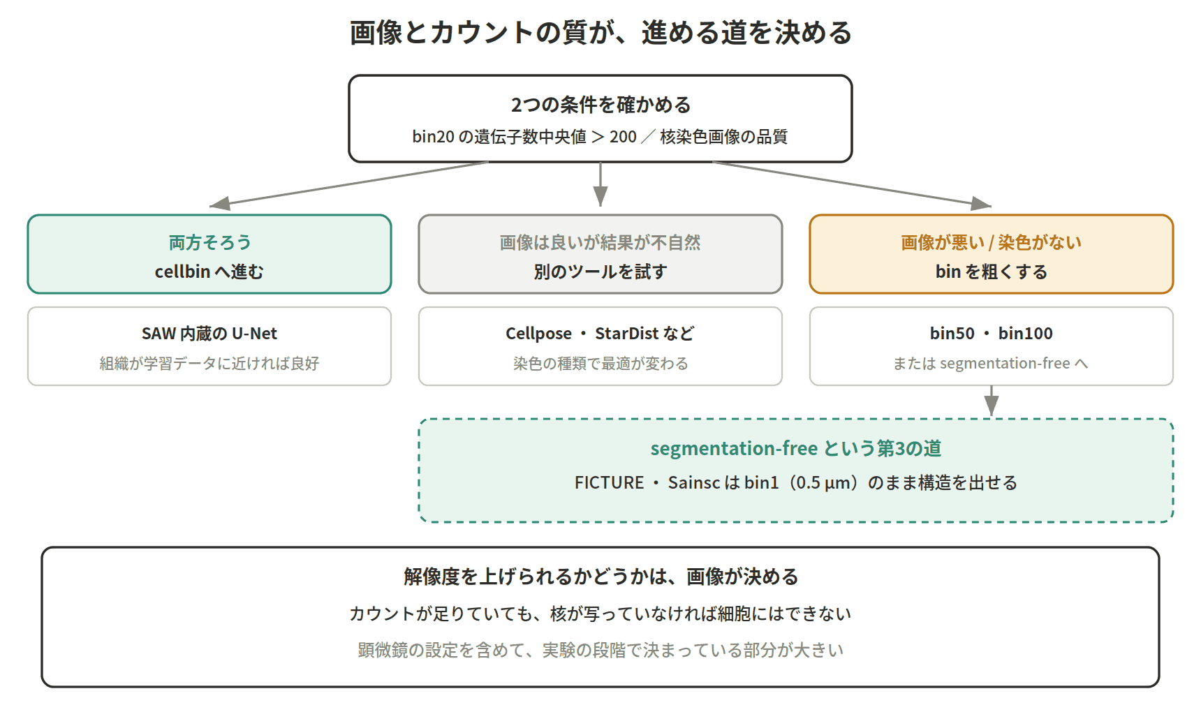図：画像とカウントの質が、進める道を決める