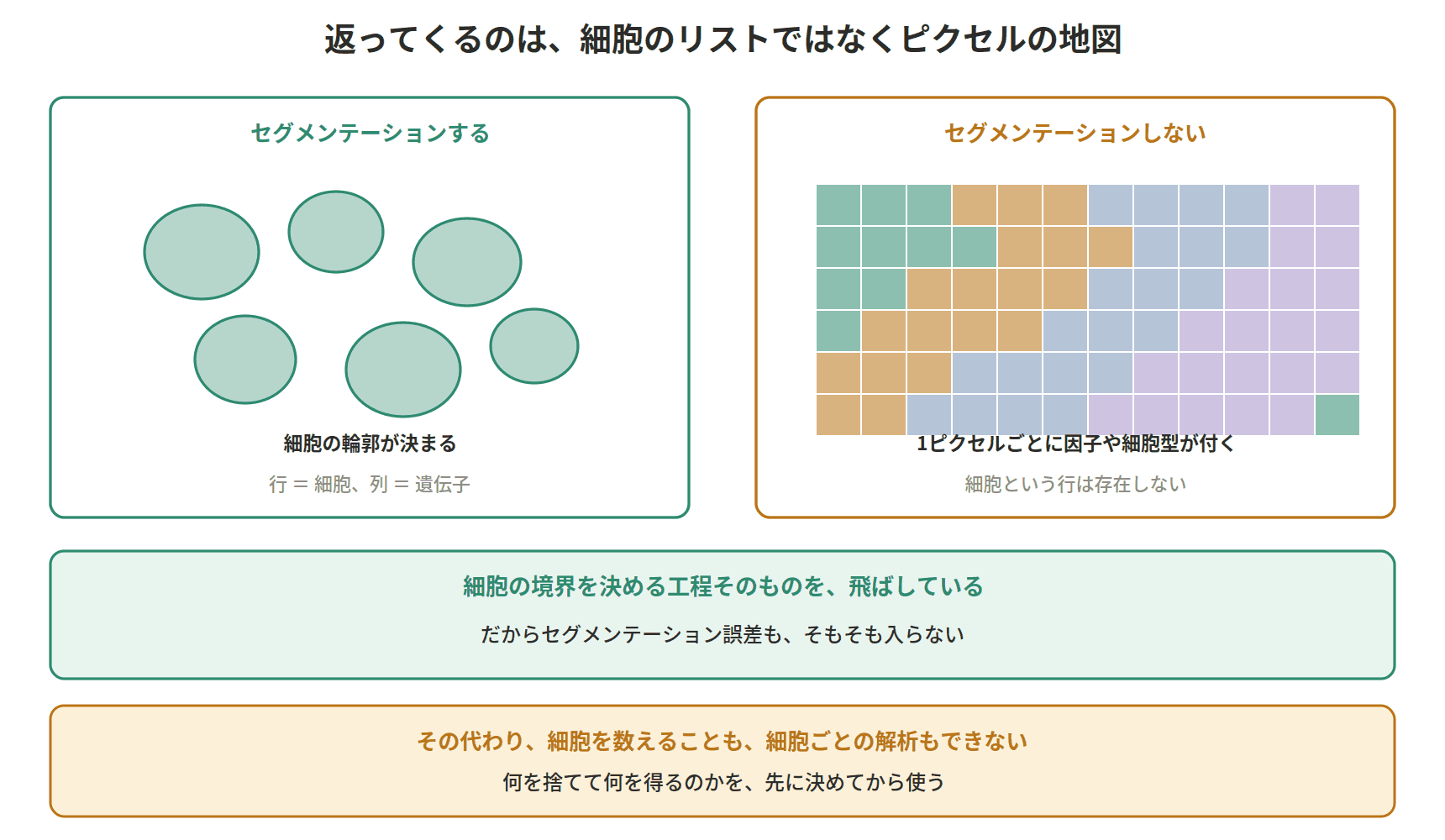 図:返ってくるのは、細胞のリストではなくピクセルの地図