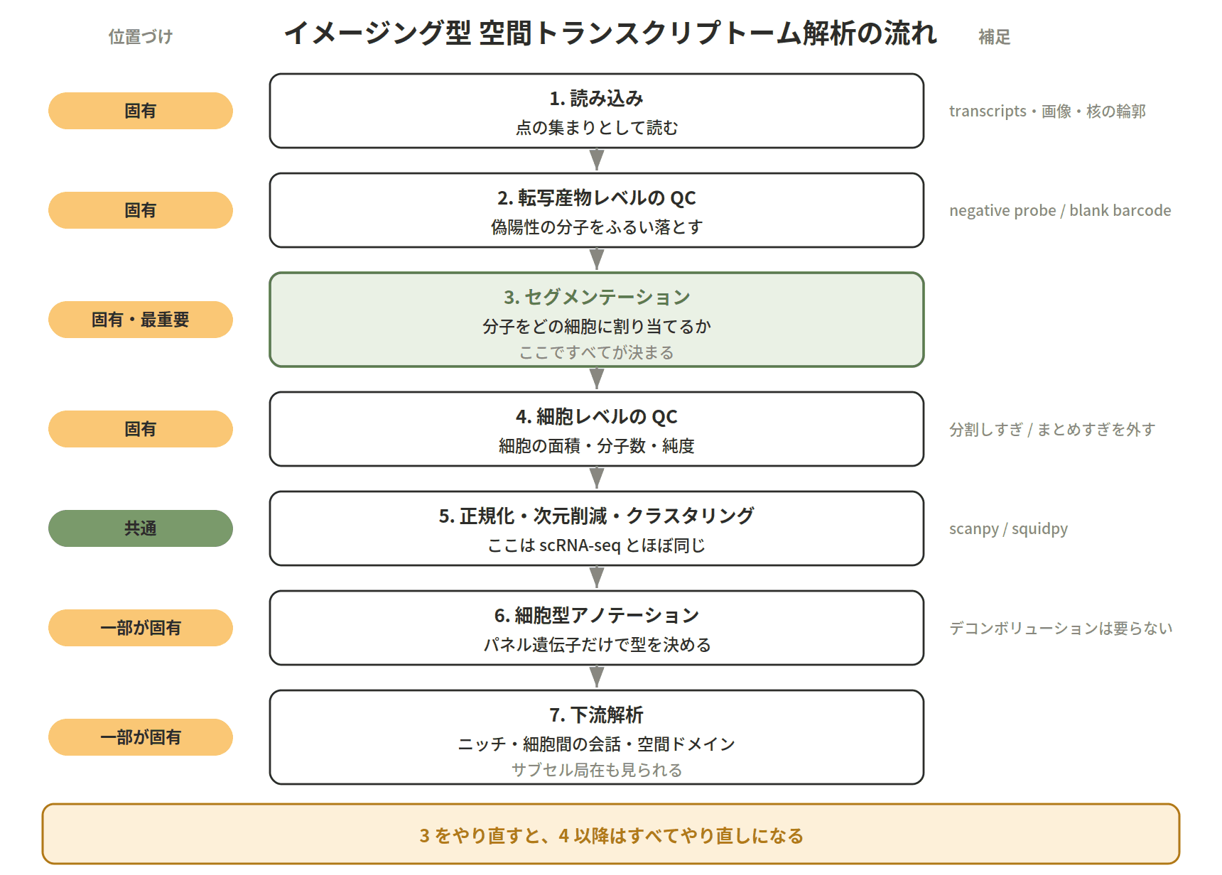 図：イメージング型 空間トランスクリプトーム解析の流れ