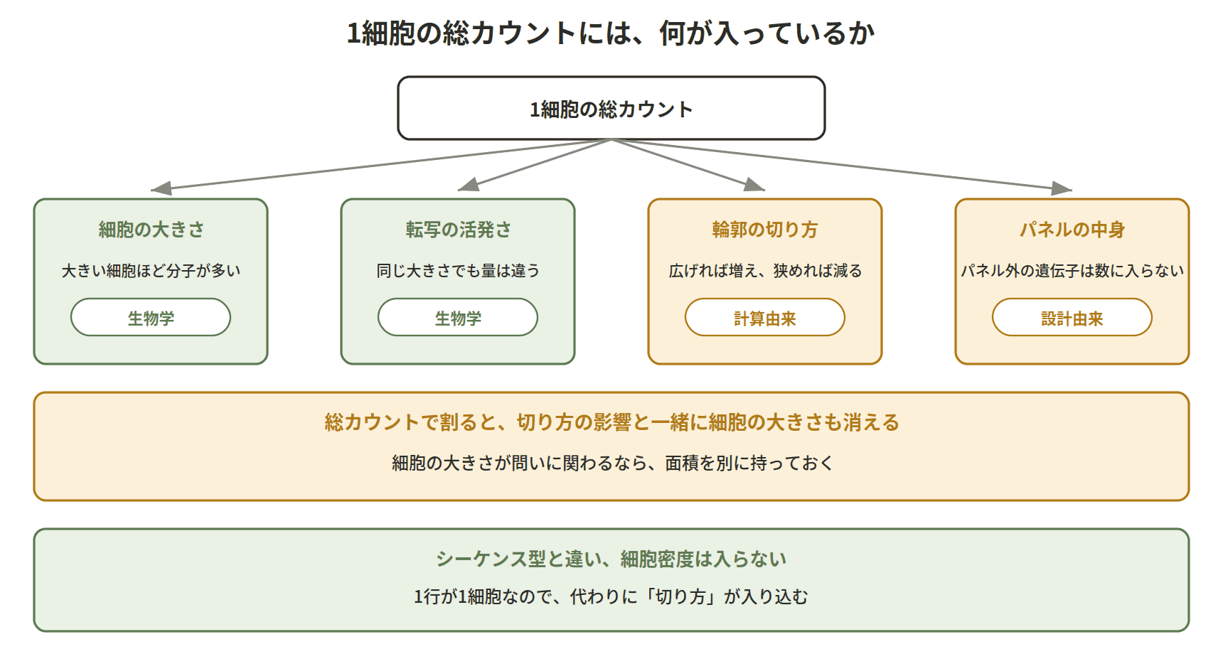 図：1細胞の総カウントには、何が入っているか
