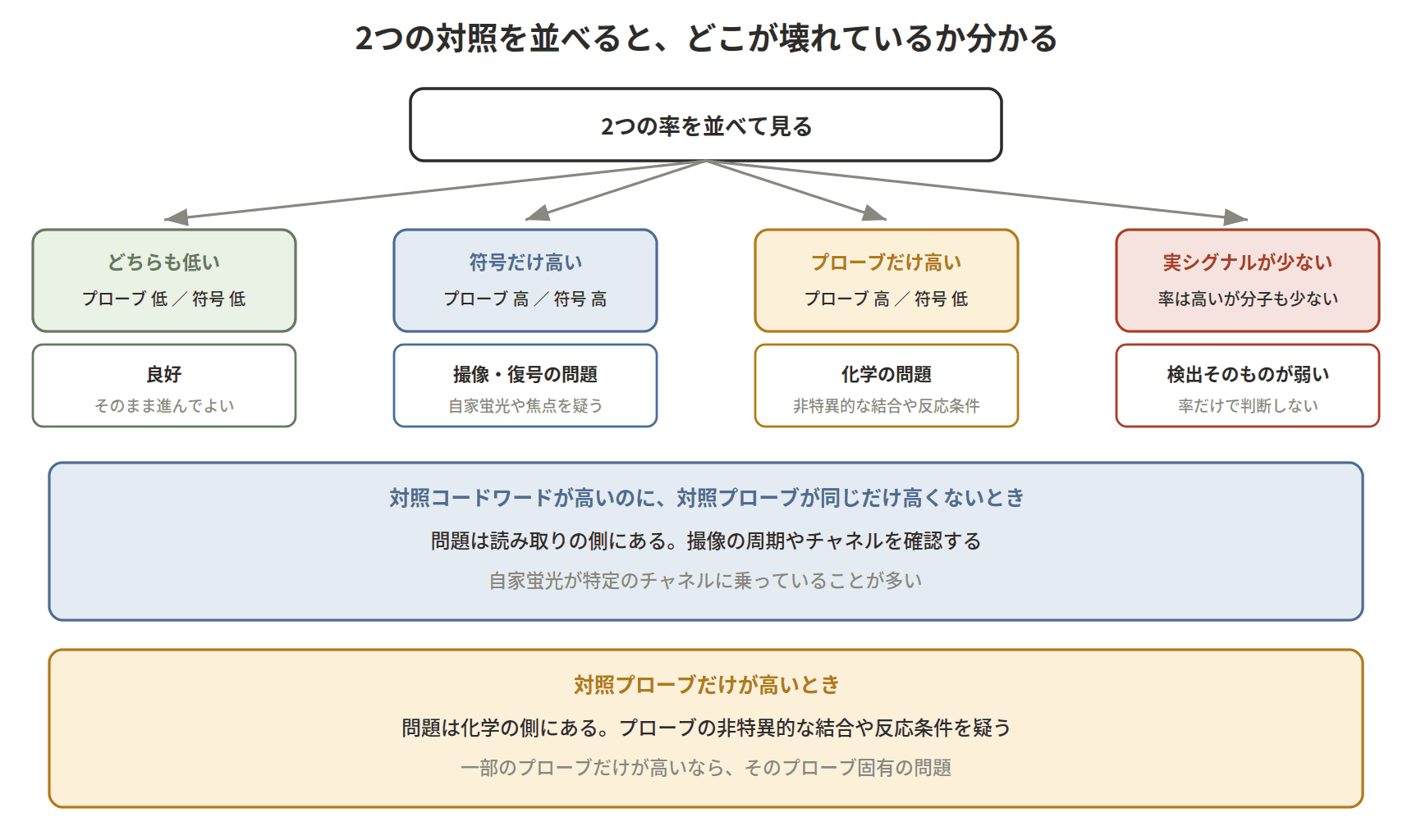 図：2つの対照を並べると、どこが壊れているか分かる