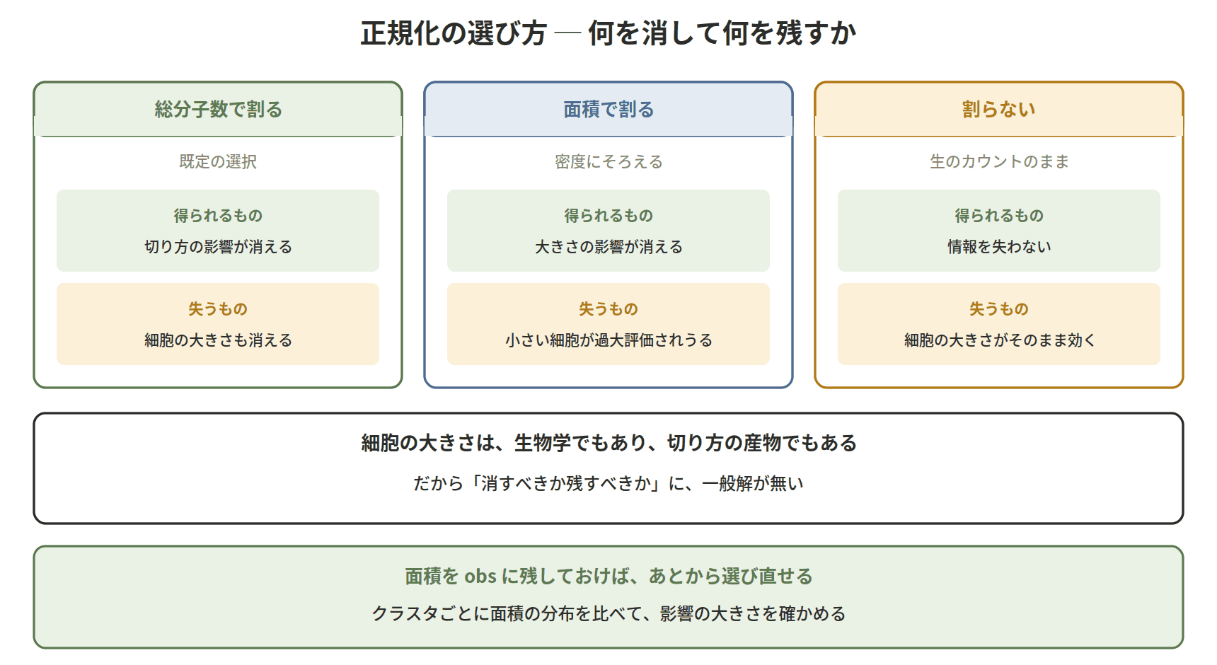 図：正規化の選び方 ─ 何を消して何を残すか