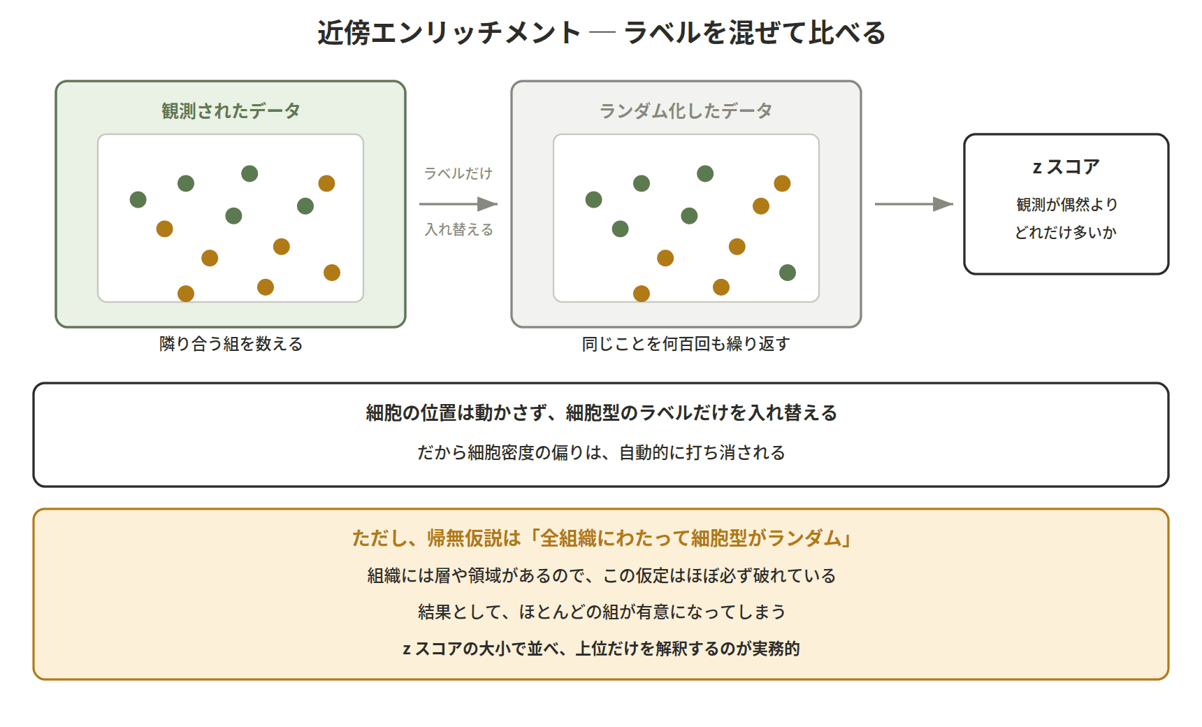 図：近傍エンリッチメント ─ ラベルを混ぜて比べる