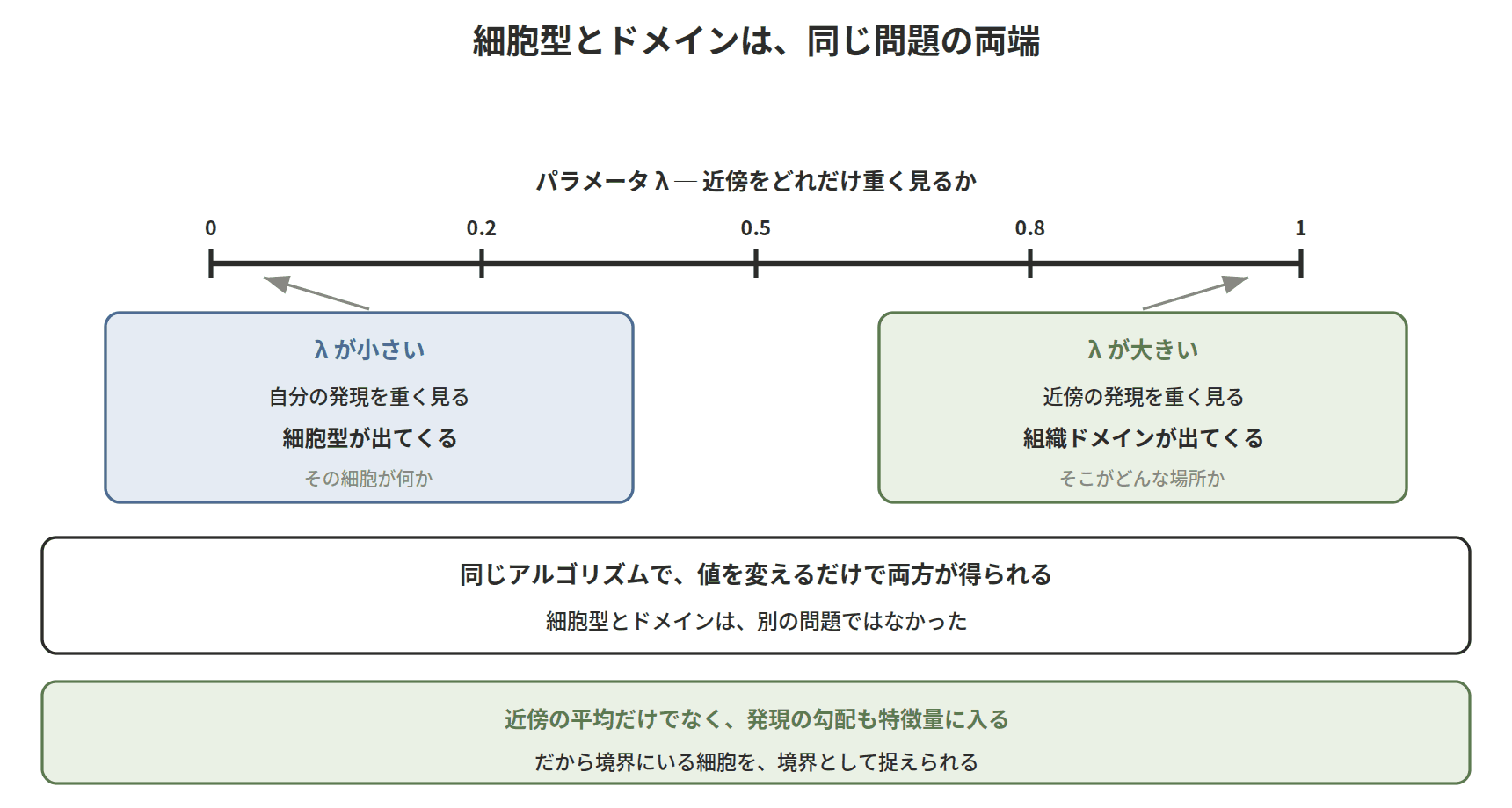 図：細胞型とドメインは、同じ問題の両端