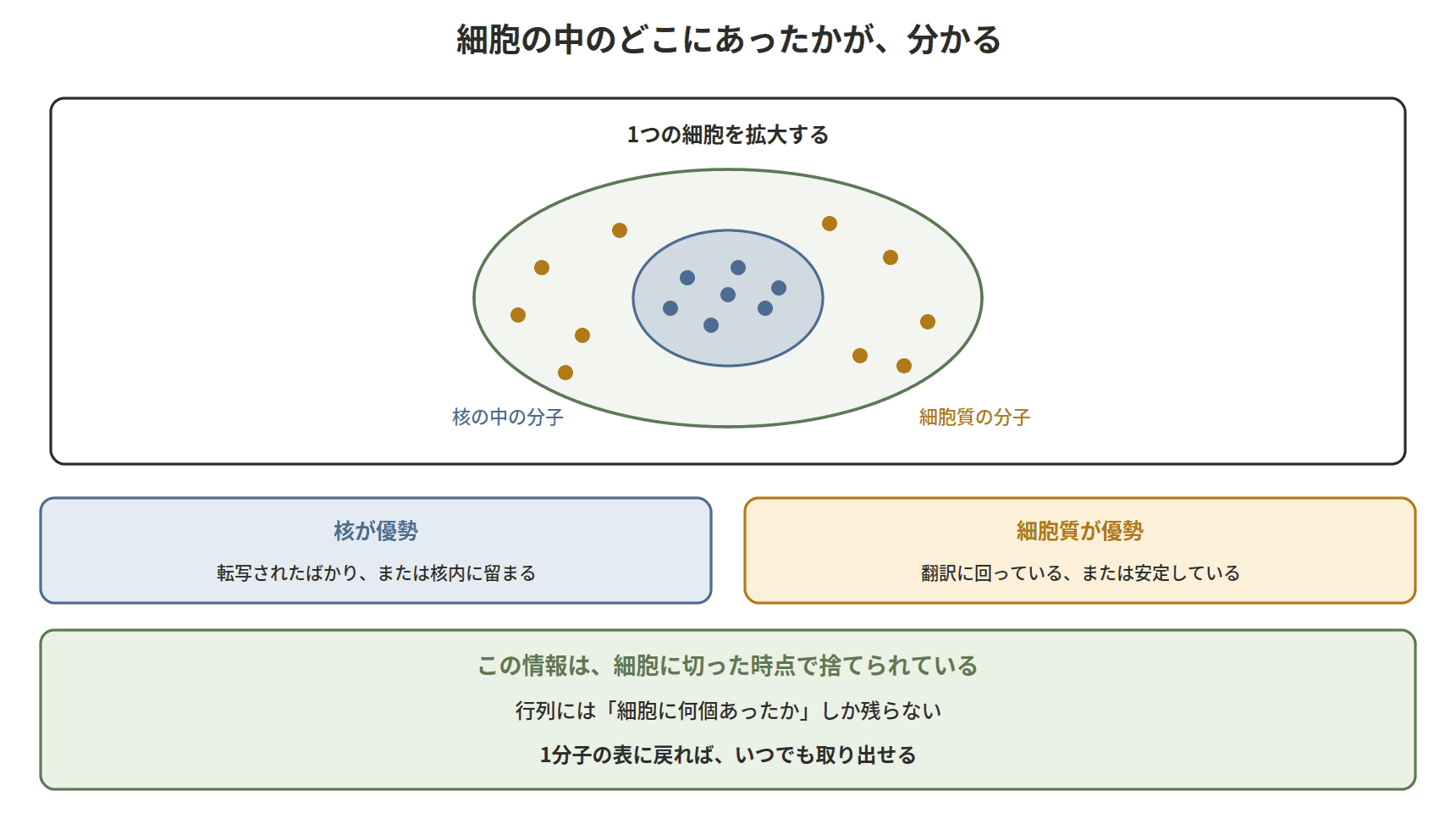 図：細胞の中のどこにあったかが、分かる