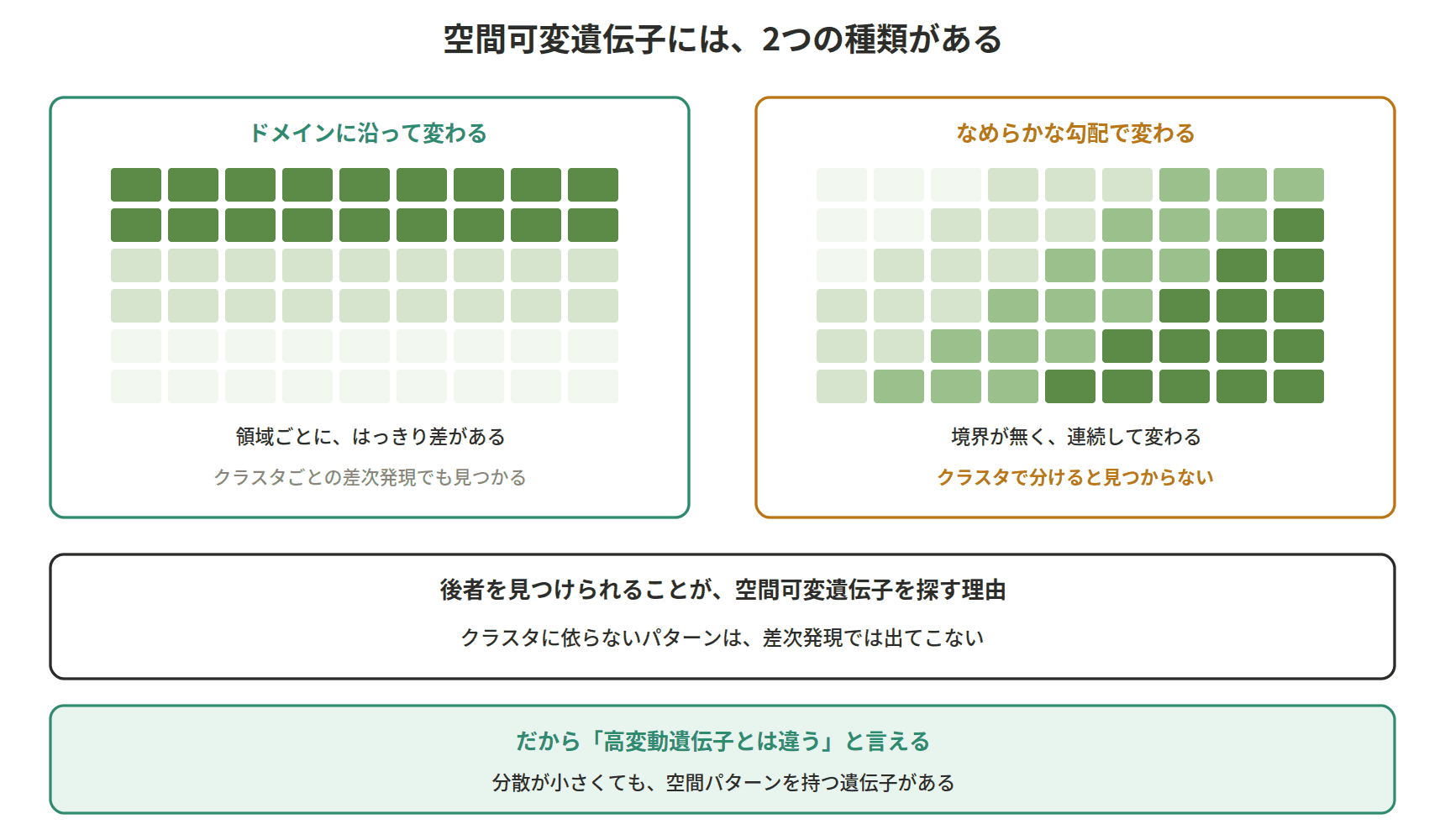 図：空間可変遺伝子には、2つの種類がある