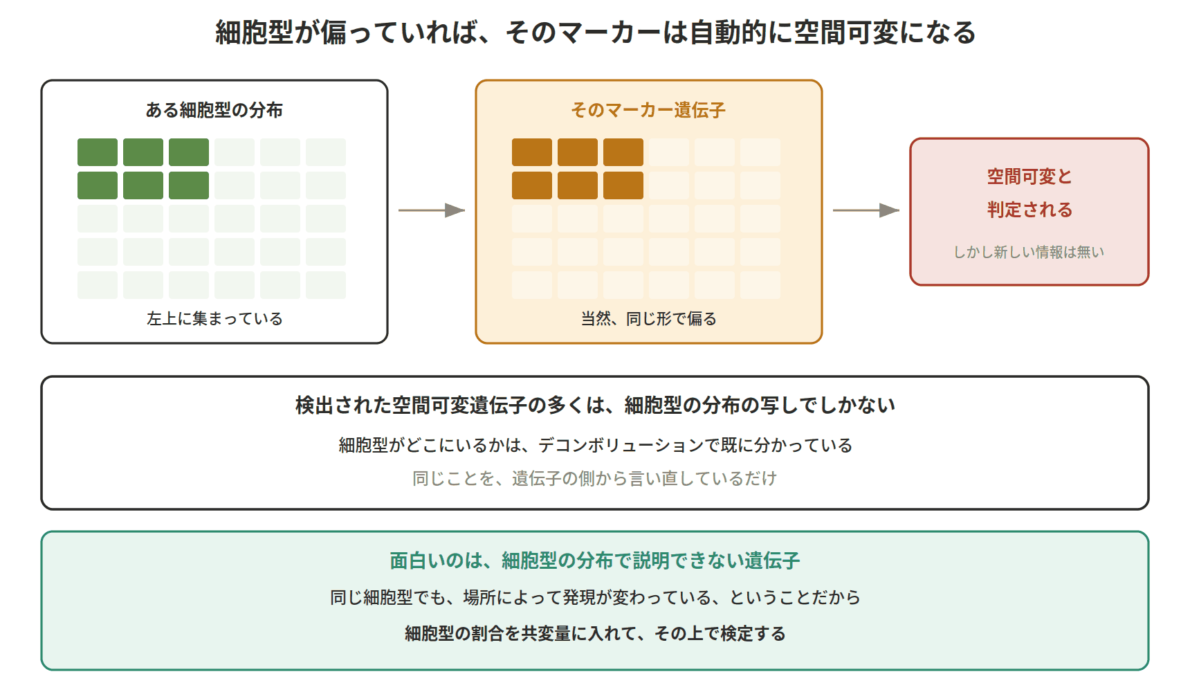 図：細胞型が偏っていれば、そのマーカーは自動的に空間可変になる