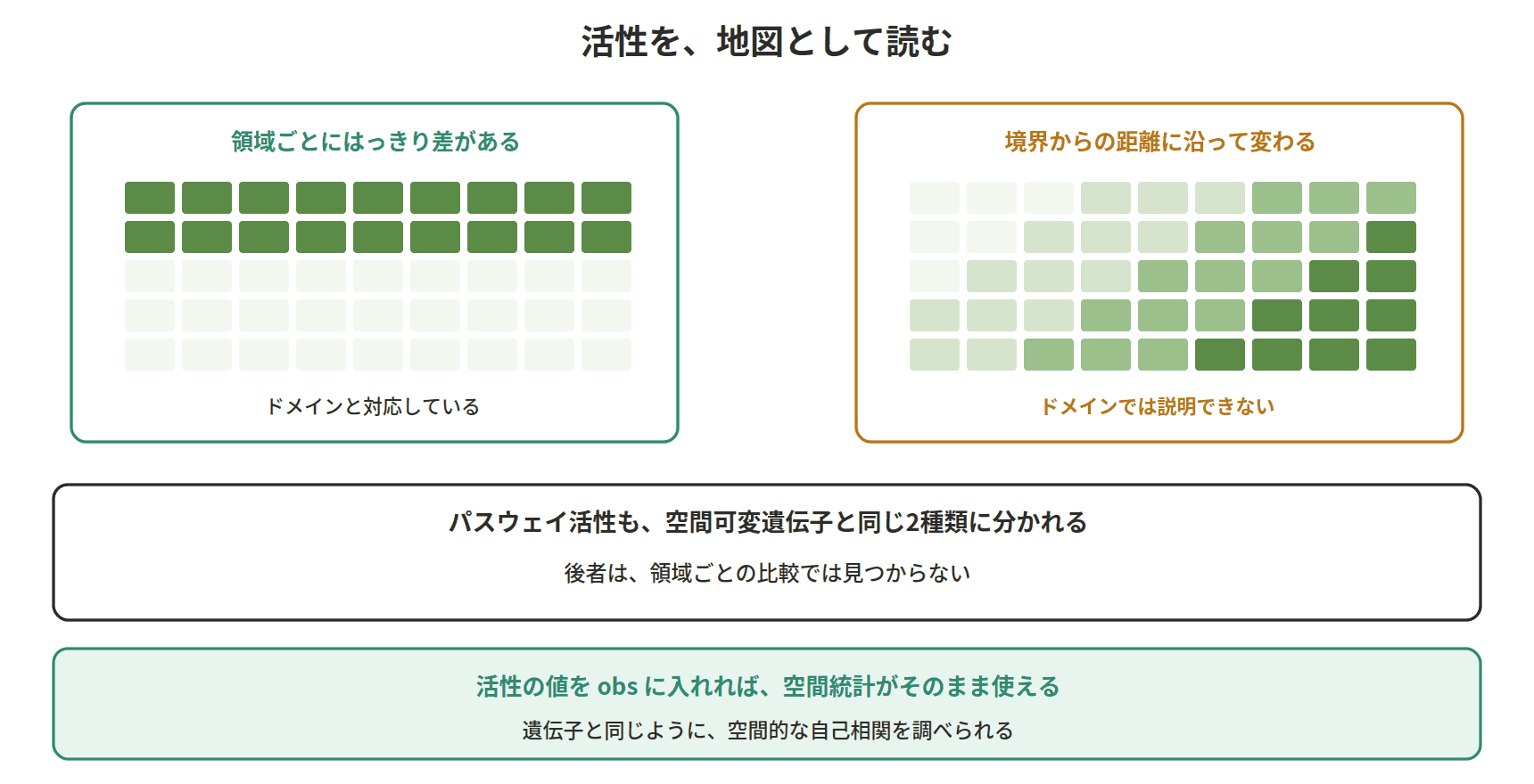 図:活性を、地図として読む