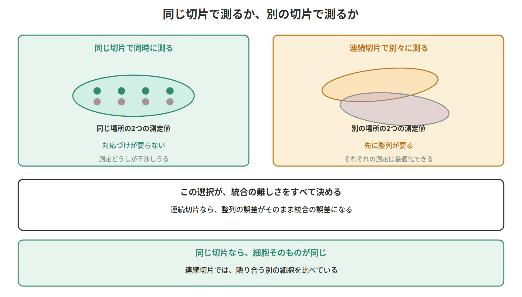 図：同じ切片で測るか、別の切片で測るか