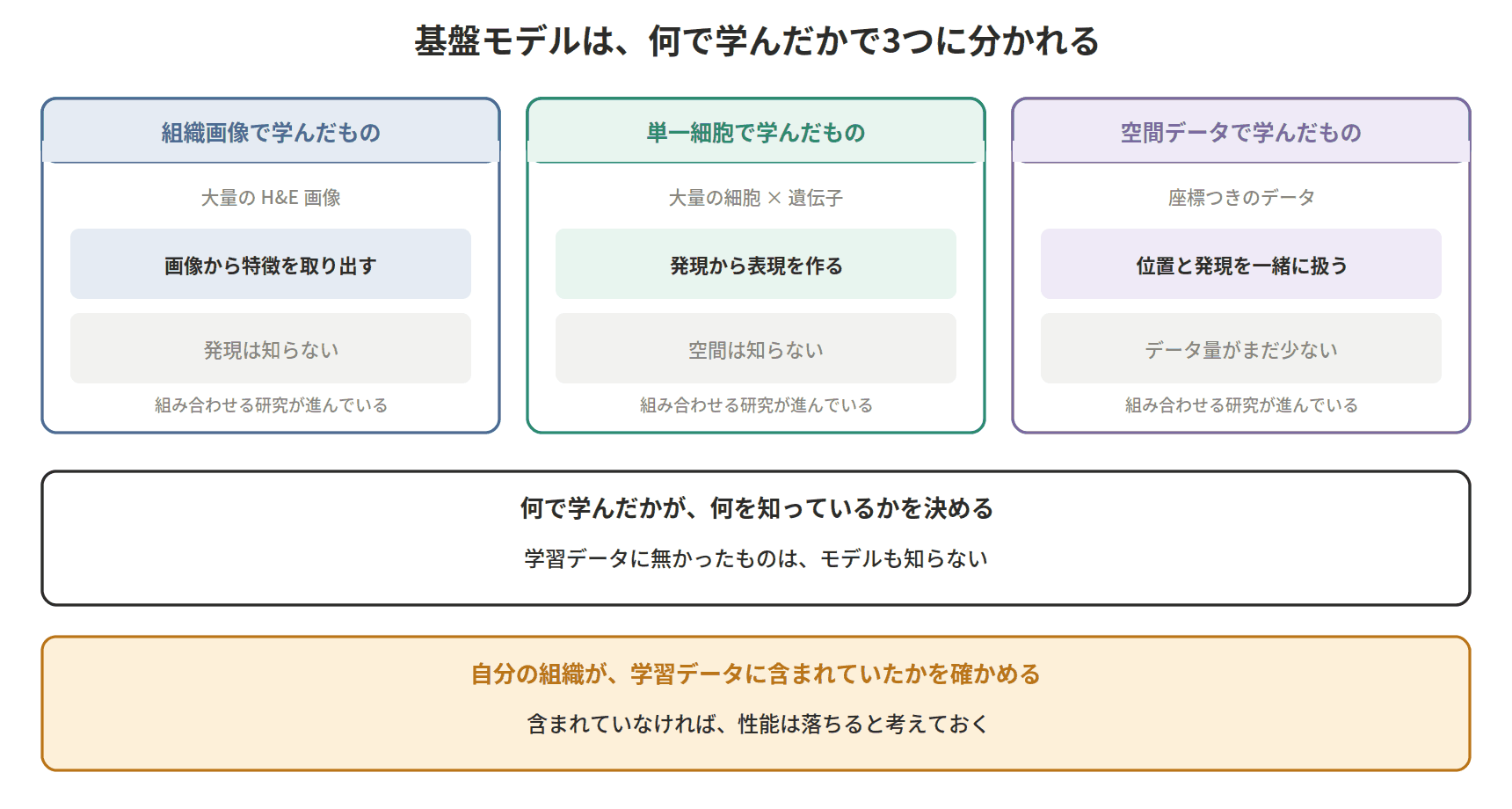 図：基盤モデルは、何で学んだかで3つに分かれる